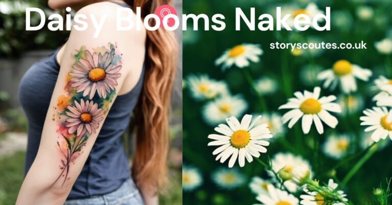 Daisy Blooms Naked: The Nature’s Simplest Beauty