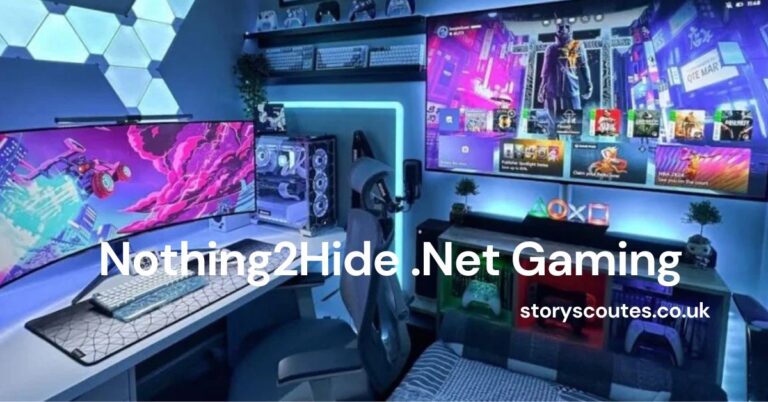 Nothing2Hide .Net Gaming: The Online Gaming Experience